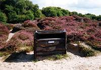 Litter bin on Footpath 6 (recycling bin now also provided) © Studland United Nudists