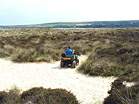 Heather Walk � Studland United Nudists