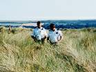 Police at Studland � Studland United Nudists