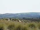 Police at Studland � Studland United Nudists