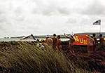 Nudist Beach Action Day 2000 � Studland United Nudists
