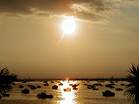 Sunset over Poole Harbour � Studland United Nudists
