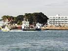 Views along Shell Bay � Studland United Nudists