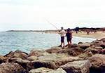 Views along Shell Bay � Studland United Nudists