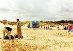 Views along Shell Bay � Studland United Nudists