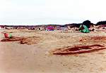 Views along Shell Bay � Studland United Nudists