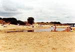 Views along Shell Bay � Studland United Nudists