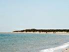 Views along Shell Bay � Studland United Nudists