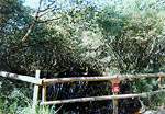 Views from FP6 � Studland United Nudists