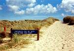Views from FP6 � Studland United Nudists