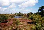 The Little Sea in the traditional nudist area � Studland United Nudists