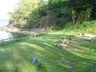 Barbecue area at Middle Beach � Studland United Nudists
