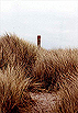 National Trust Red Post � Studland United Nudists