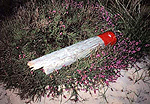 National Trust Red Post � Studland United Nudists