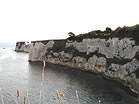 Looking east towards Old Harry � Studland United Nudists