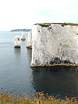 Parsons Barn and The Pinnacles viewed from Old Nick's Ground � Studland United Nudists