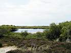 The Little Sea in the traditional nudist area at Studland � Studland United Nudists