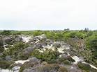 Dunes around the Lily Pond have been used by nudists for decades � Studland United Nudists