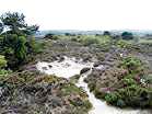 The traditional nudist area at Studland � Studland United Nudists