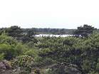 The Little Sea in the traditional nudist area at Studland � Studland United Nudists